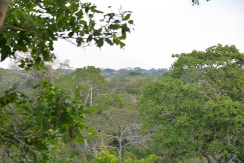 Corto Maltes Amazonia Ecolodge.