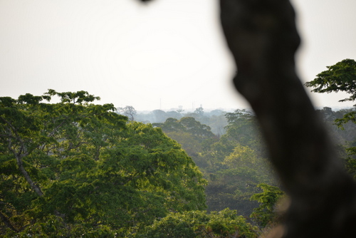 Corto Maltes Amazonia Ecolodge.