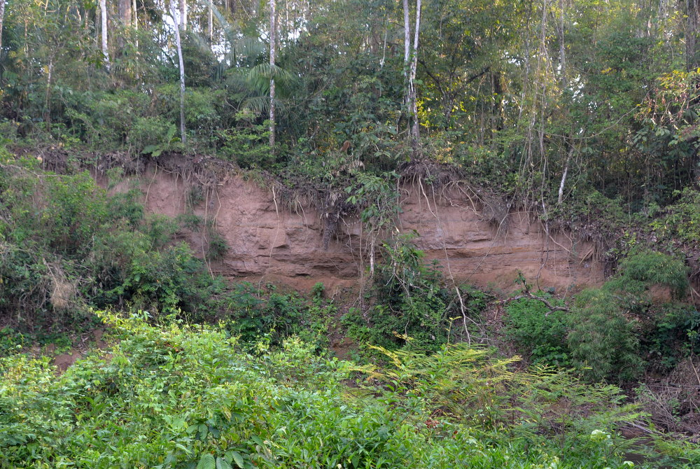 Famous Parakeet River Clay Bank.