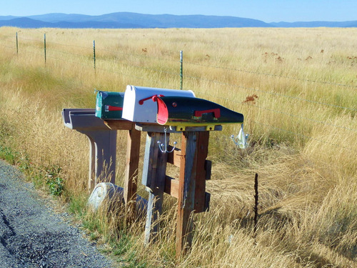 Interesting Mail Box.