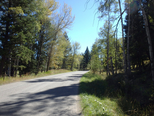 Riding in the woods.