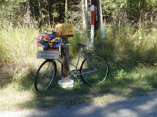 Flower Box Bike.