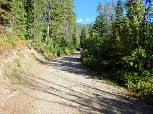 We are climbing on NF 114 to Whitefish Pass on the GDMBR, Montana.