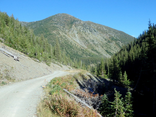 Timbers knocked over, likely by winter avalanche.