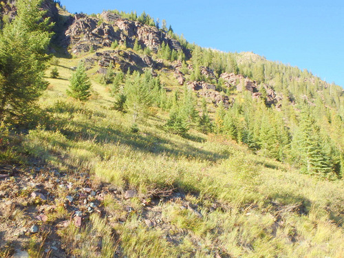 Uphill side view on NF 114 (GDMBR, MT).