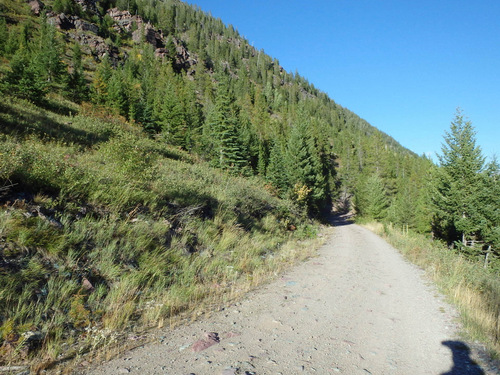 Downhill/East view on NF 114 (GDMBR, MT).