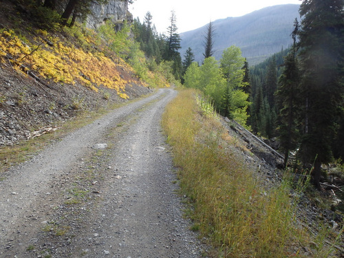 Our initial descent from the Tuchuck Campground is in pristine old forest.