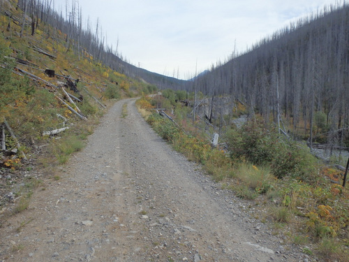 The creek is dead.  There is no water retention.