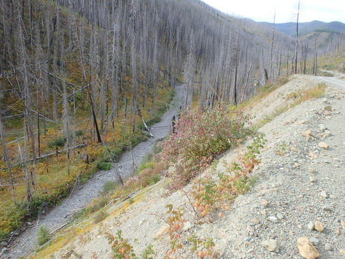 The creek is dead.  There is no water retention.