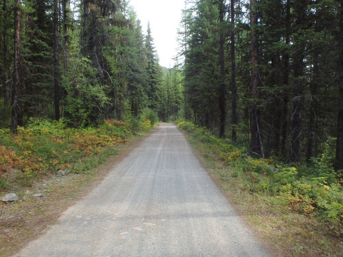 Our initial descent from the Tuchuck Campground is in pristine old forest.