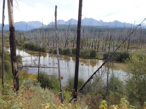 North Fork of the Flathead River (GDMBR - NF 486).