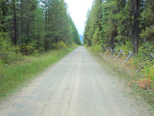 Fence Posts on the initial leg of NF 115 west bound (GDMBR, Montana).