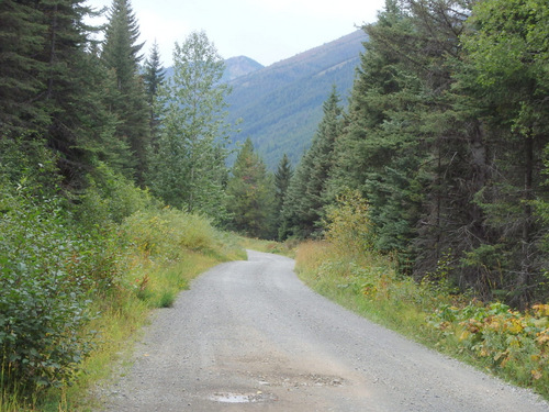 We continue to ride uphill on the GDMBR (NF 115, MT).