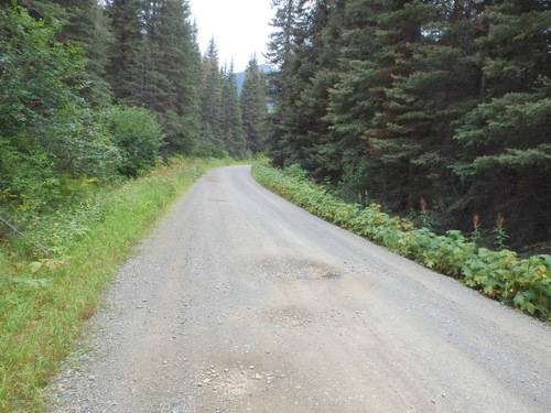 We continue to ride uphill on the GDMBR (NF 115, MT).