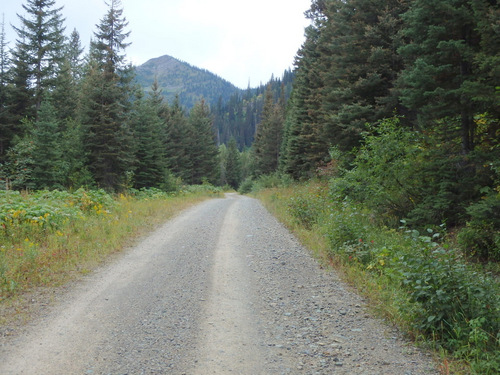 We continue to ride uphill on the GDMBR (NF 115, MT).