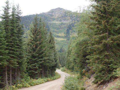 Climbing is now performed from the saddle.