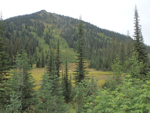 The mountain meadow of Red Meadow Lake Pass, MT, GDMBR.