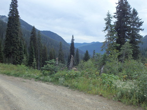 GDMBR, NF 115, heading south for the Upper Whitefish Lake and Campground.