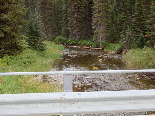 Whitefish River downstream.