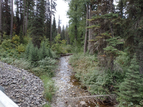 Brook crossing.