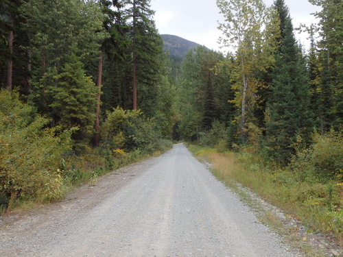 Onward and forward on the GDMBR to Whitefish, MT.