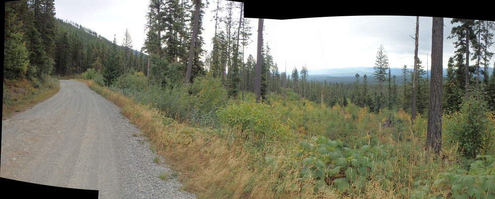 We're looking south toward Whitefish, MT (GDMBR).
