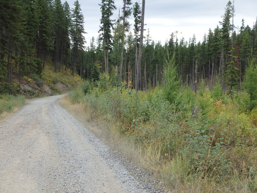 We're close to Whitefish Lake (GDMBR, MT).