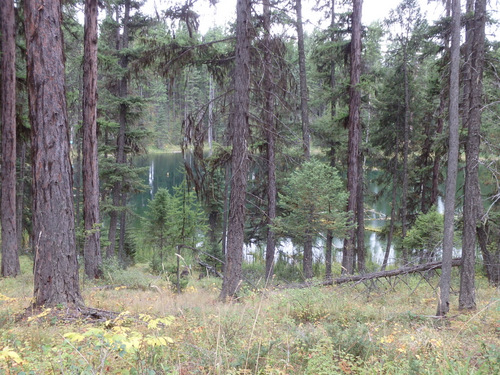 Whitefish Lake, MT.