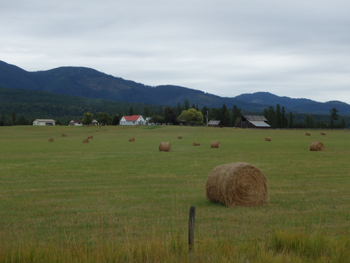 Whitefish Range, Ski Whitefish, and Big Mountain.
