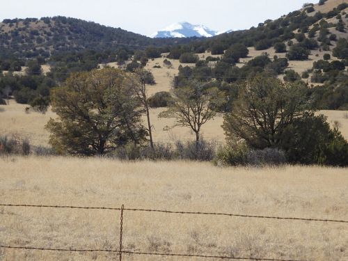 Sierra Blanca zoomed-in, it is 11,981'/3652m, sitting between here and White Sands.