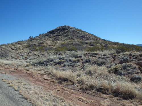 A hill is disparate plant life.