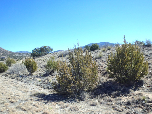 Looking southeast.
