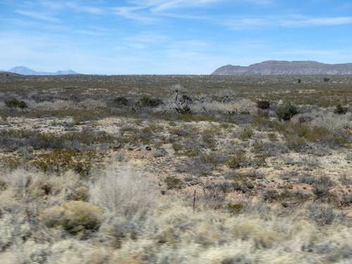 Cattle country.