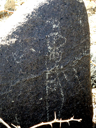 Three Rivers Petroglyphs Site.