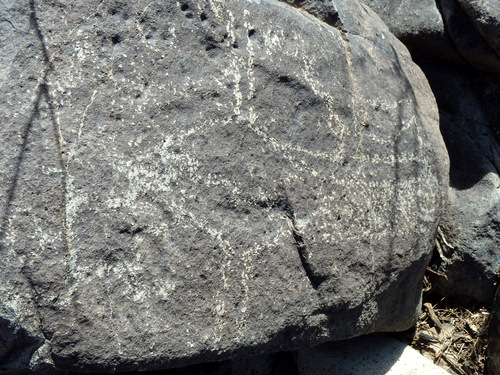 Three Rivers Petroglyphs Site.