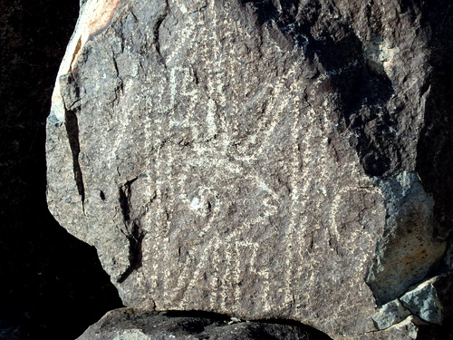 Three Rivers Petroglyphs Site.