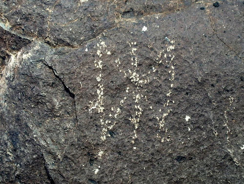 Three Rivers Petroglyphs Site.