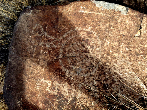Three Rivers Petroglyphs Site.