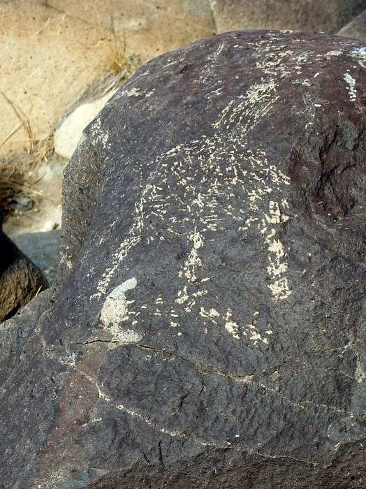 Three Rivers Petroglyphs Site.