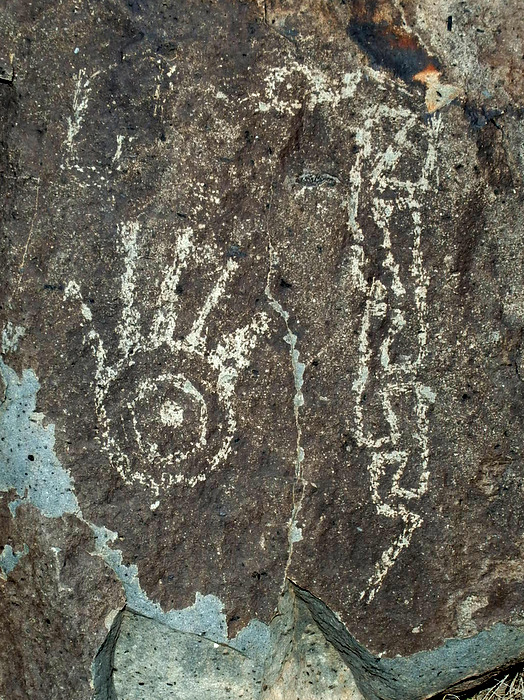 Three Rivers Petroglyphs Site.