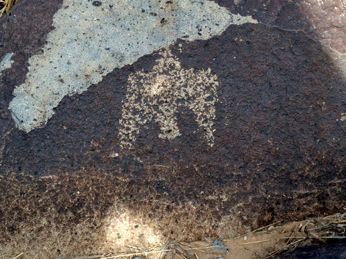 Three Rivers Petroglyphs Site.