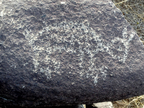 Three Rivers Petroglyphs Site.