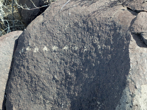 Three Rivers Petroglyphs Site.