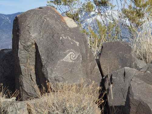 Three Rivers Petroglyphs Site.