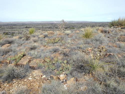 Valley of Fires, New Mexico.