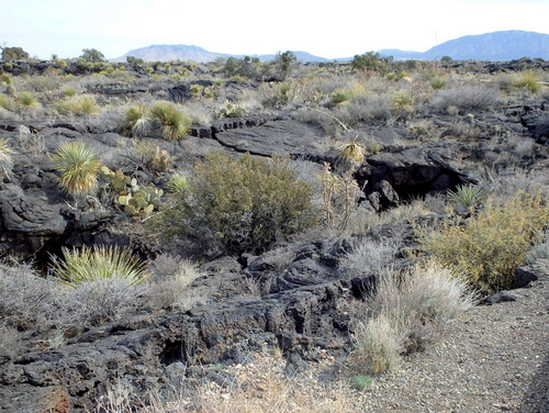Valley of Fires, New Mexico.