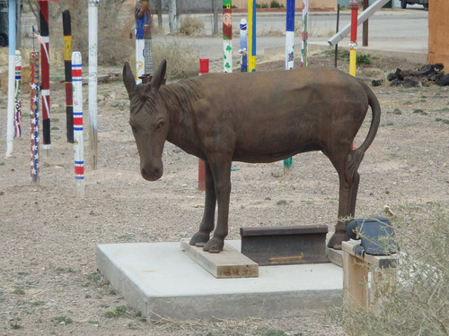 Burro #7.