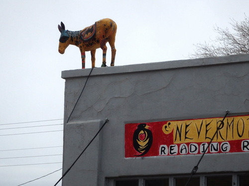 Burro #8.