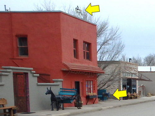 Burros #s 9 & 10.
