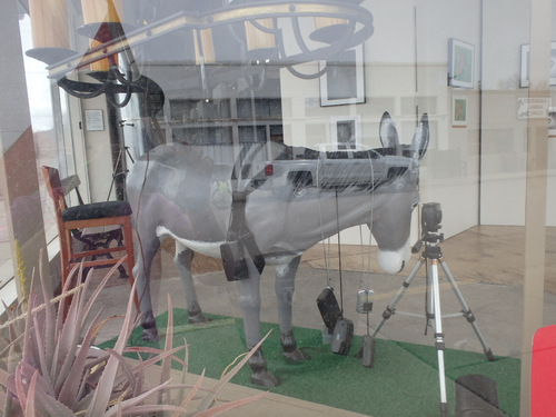 Burro #19 was in a Photography Studio.